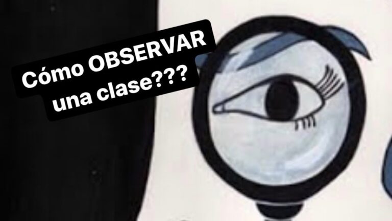 guias de observación de clase