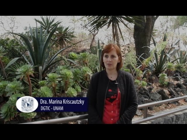 importancia de una plataforma educativa