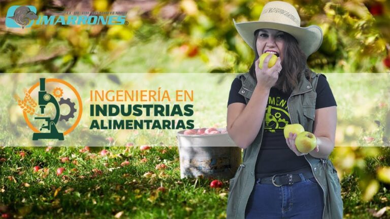 ingenieria de industrias alimentarias en que consiste