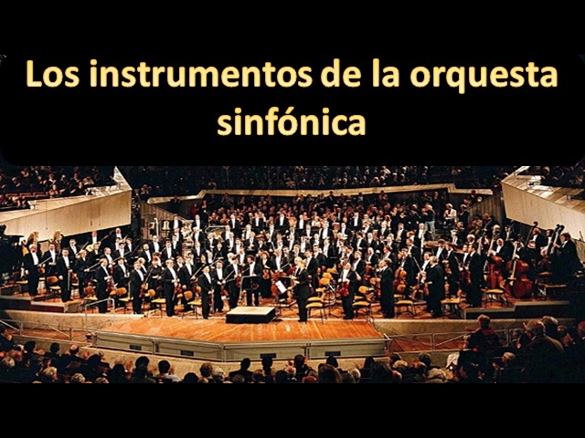 instrumentos musicales de una orquesta