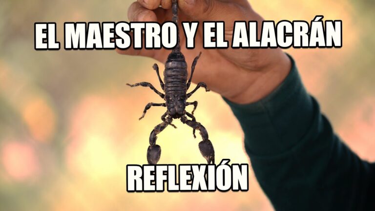 lecturas de reflexion con actividades