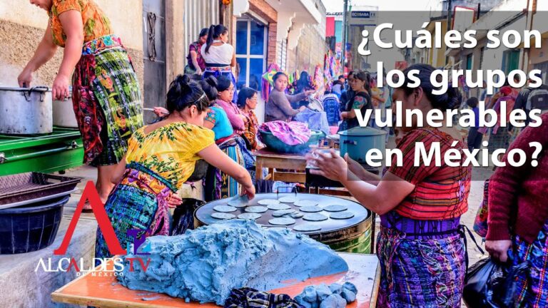 leyes que protegen a los grupos vulnerables en méxico
