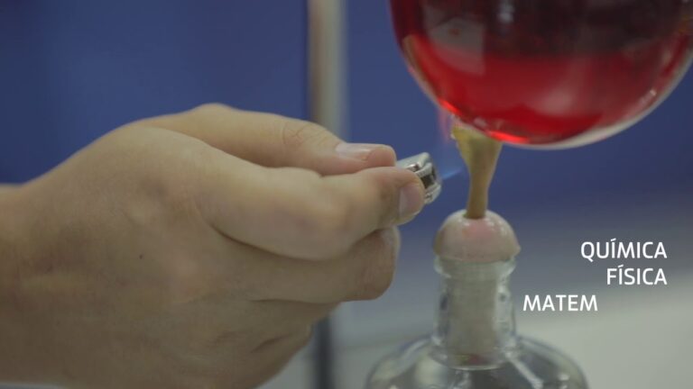 maestria en enseñanza de las ciencias
