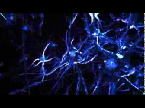 maestria en neuropsicologia y educacion