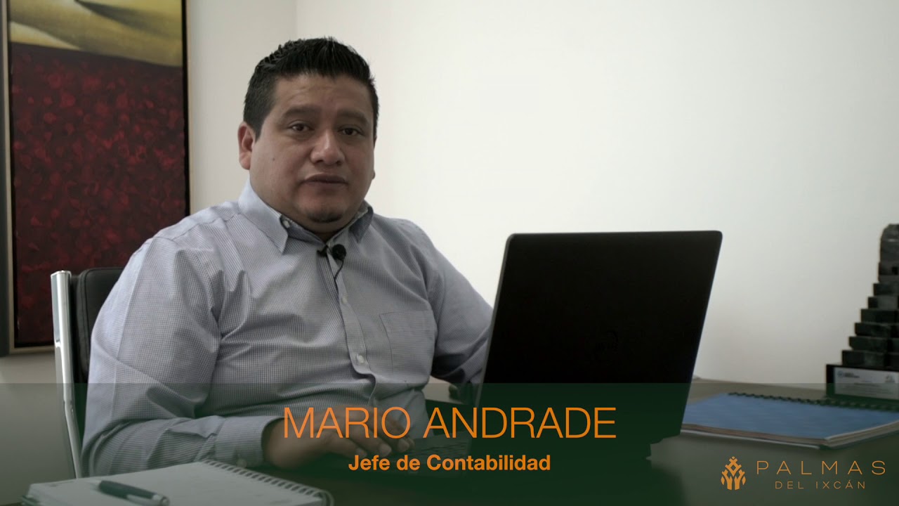 manual de funciones para jefe de contabilidad