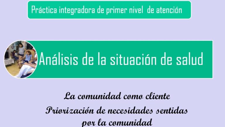 modelo de la comunidad como cliente en enfermeria