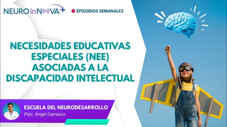 necesidades educativas especiales sin discapacidad