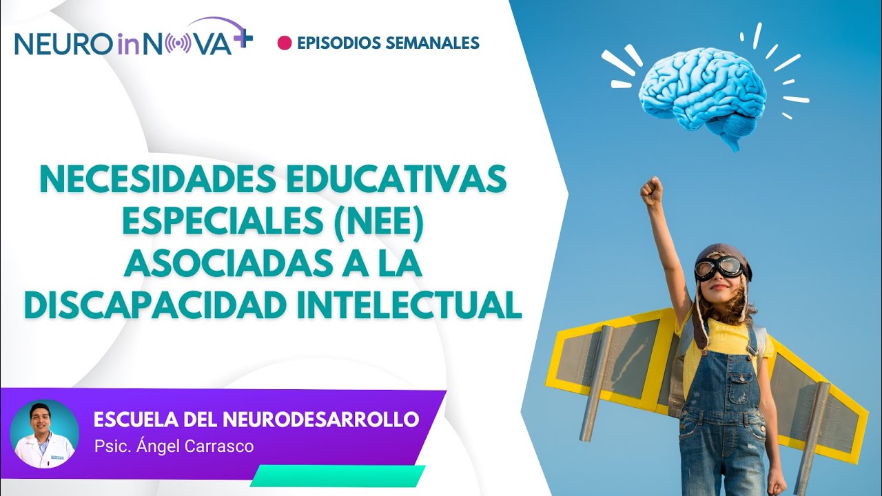 necesidades educativas especiales sin discapacidad