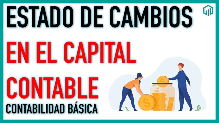nif del estado de cambios en el capital contable