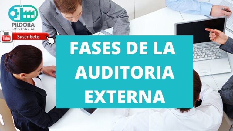 objetivos y alcance de la auditoria externa