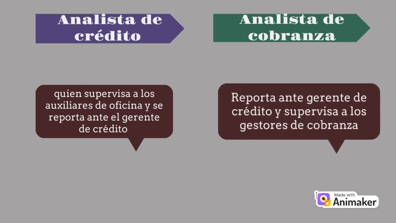 organigrama del area de credito