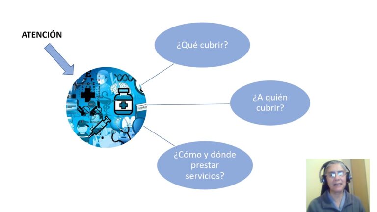 organizacion del sistema de salud
