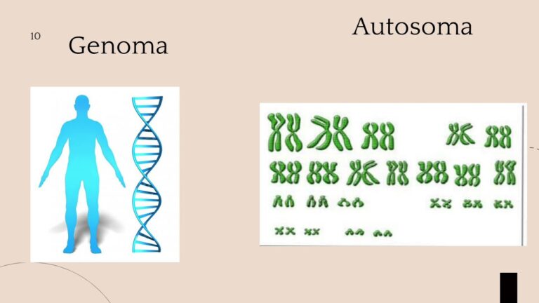 palabras clave de la biologia