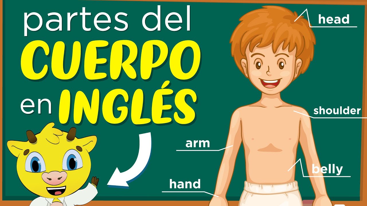 parte del cuerpo con letra a