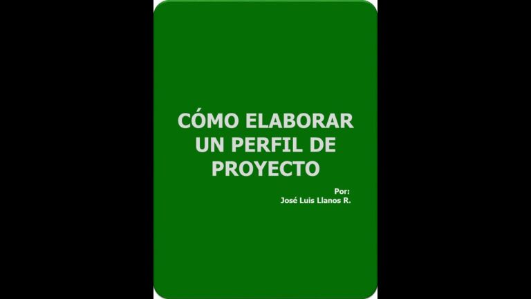 perfil de proyecto que es