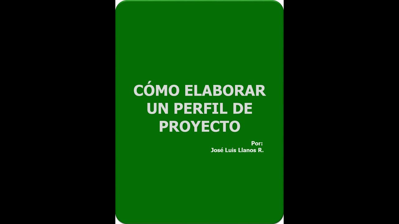 perfil de proyecto que es