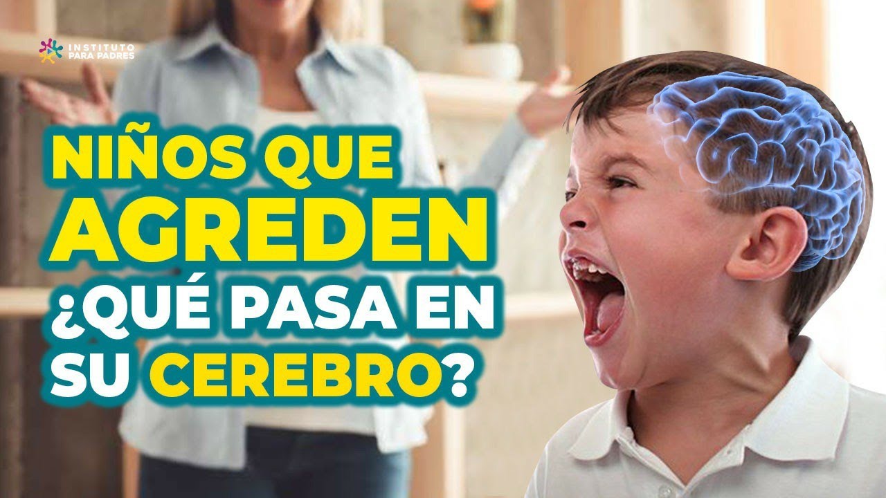 porque mi hijo es agresivo conmigo