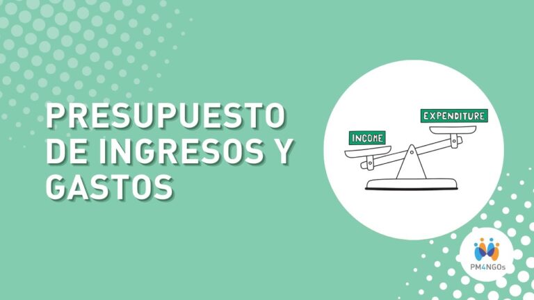 presupuesto de ingresos de un proyecto