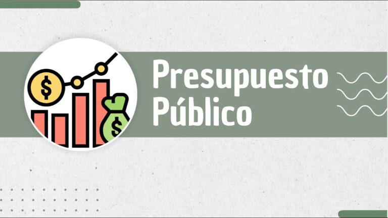presupuesto de una empresa publica