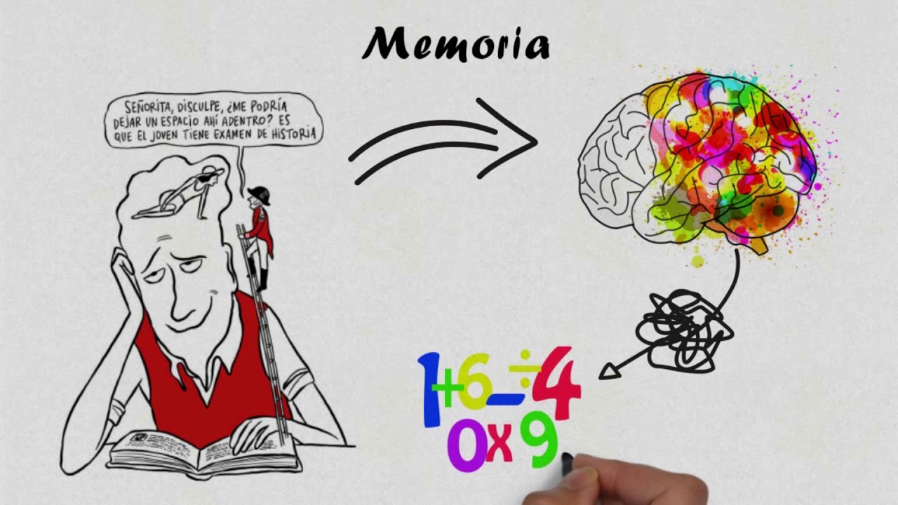 procesos cognitivos en la resolucion de problemas matematicos