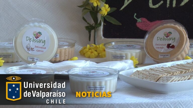proyecto de nutricion para secundaria