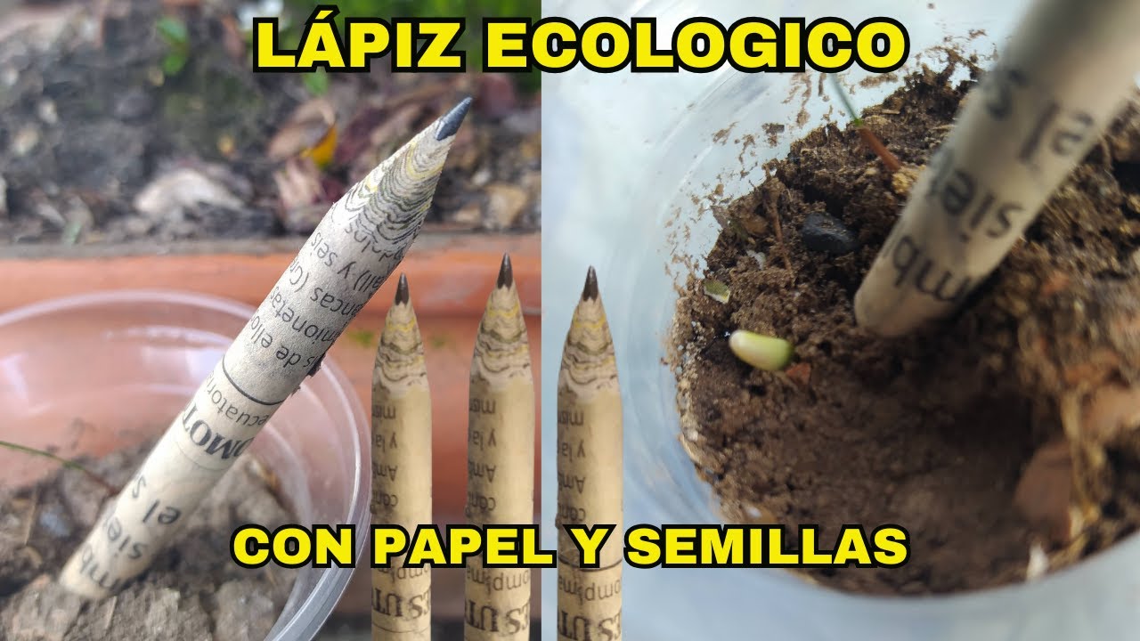 proyectos ecologicos para escuelas secundarias