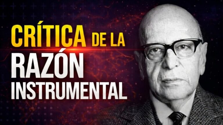 que es la racionalidad instrumental