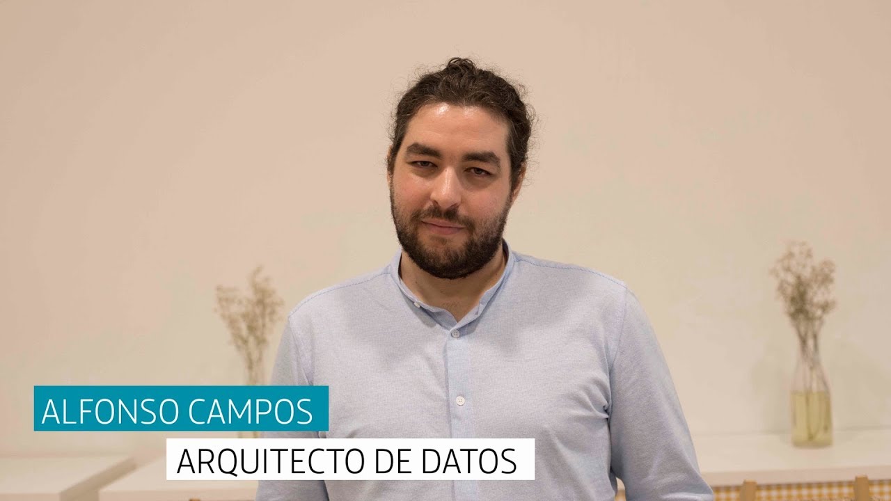 que es un arquitecto de datos