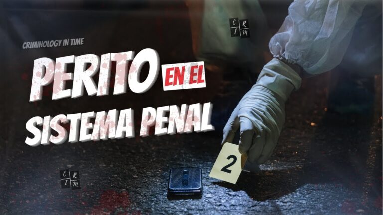 que es un perito en derecho