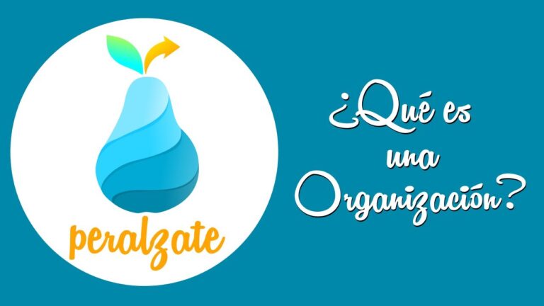 que es una organizacion y una empresa