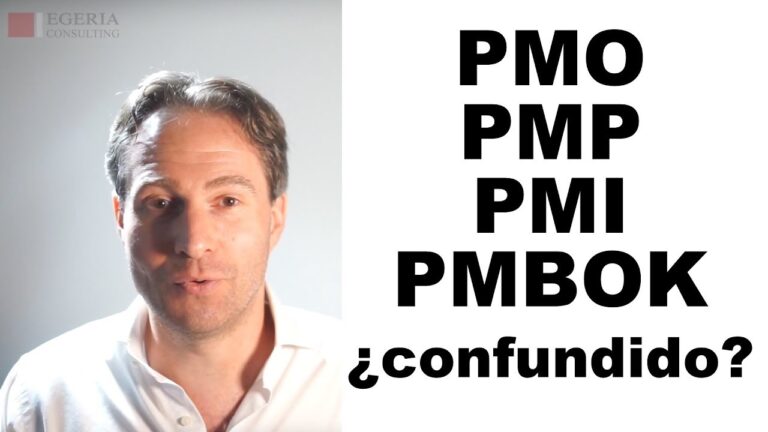 que es una pmo segun pmi