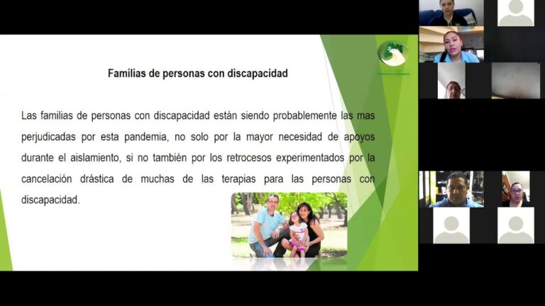 que necesitan las familias de personas con discapacidad