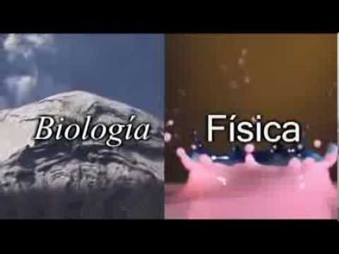 que relacion hay entre la biologia y la fisica