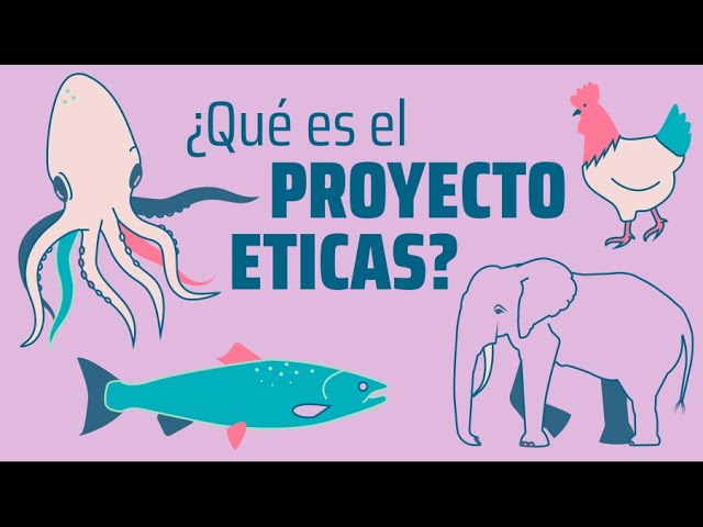 que son los proyectos eticos