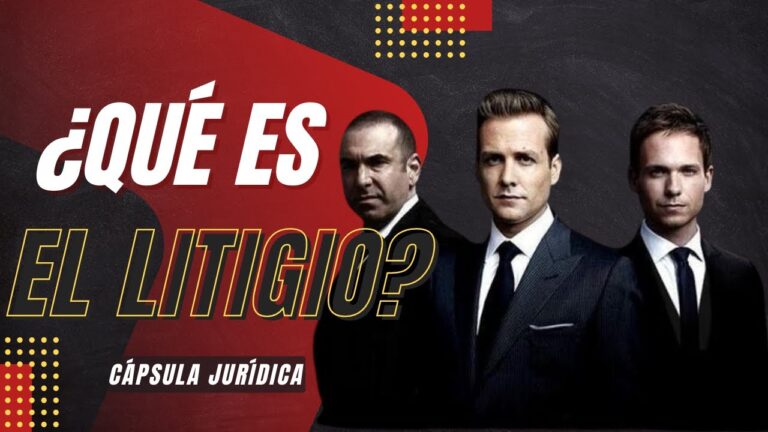 quien es el litigante en un juicio