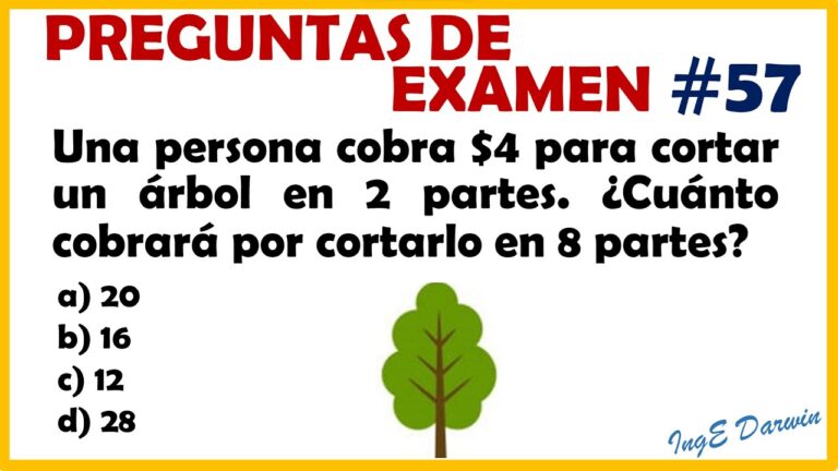 razonamiento logico matematico en primaria