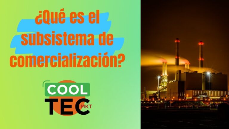 subsistema social de una organización