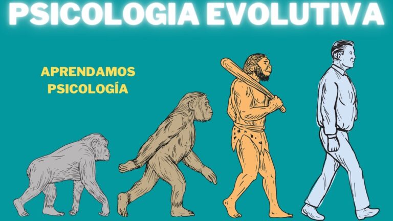 teoricos de la psicologia evolutiva